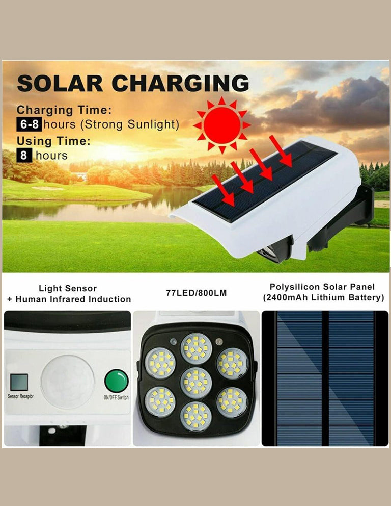 Solar Lights